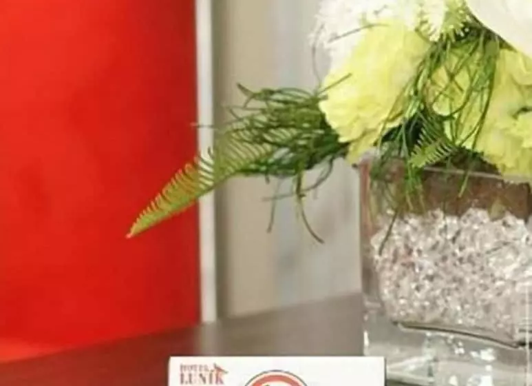 Fotos del hotel Lunik:  9