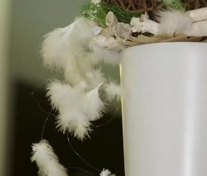 Fotos del hotel Lunik:  8