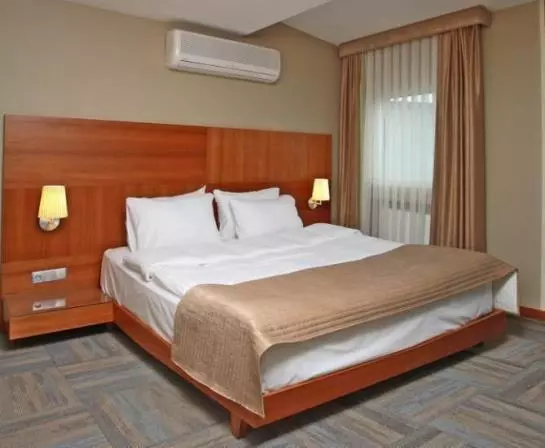 Fotos del hotel Polatdemir:  6