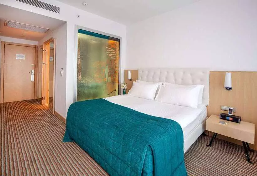 Fotos del hotel Wyndham Ankara:  22