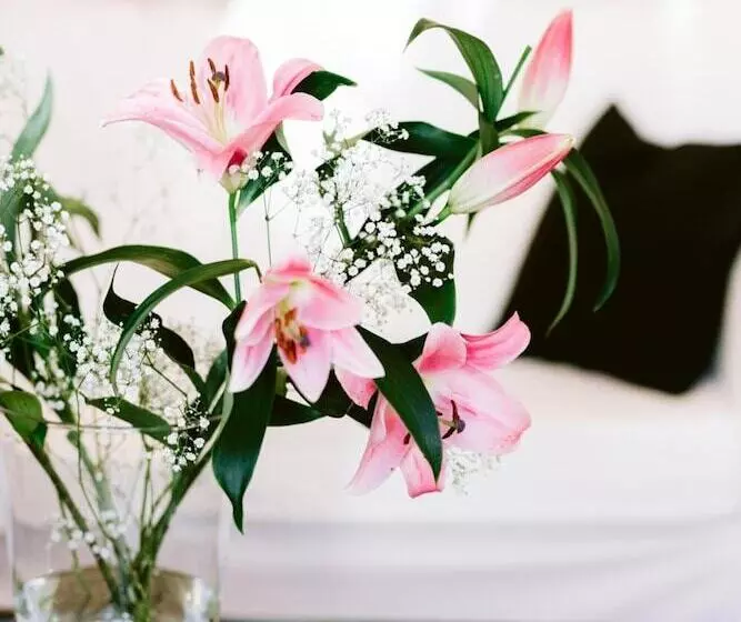 Fotos del hotel Boutique  Villa Oberkassel:  14