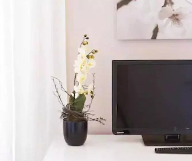 Fotos del hotel Buchholz Downtown:  11