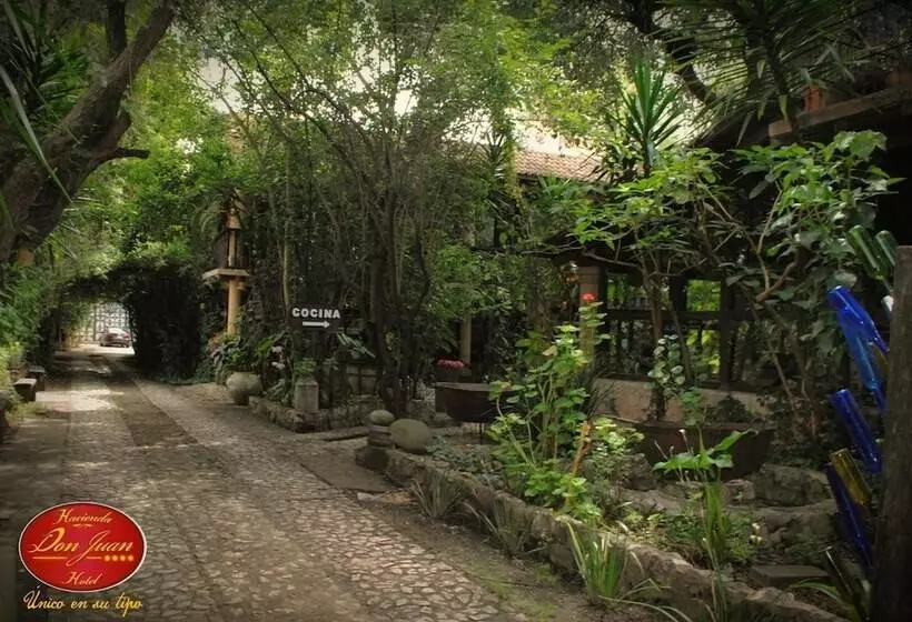 Fotos del hotel Hacienda Don Juan:  21