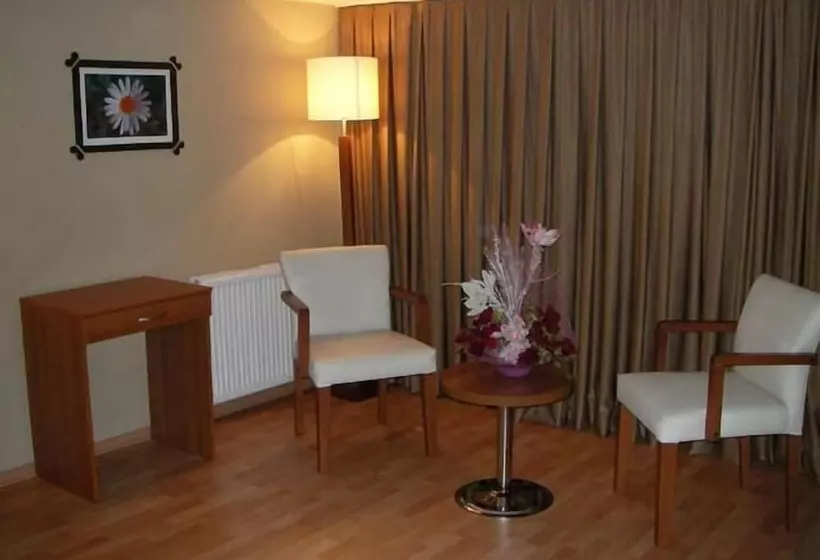 Fotos del hotel Hotel Sisli:  10