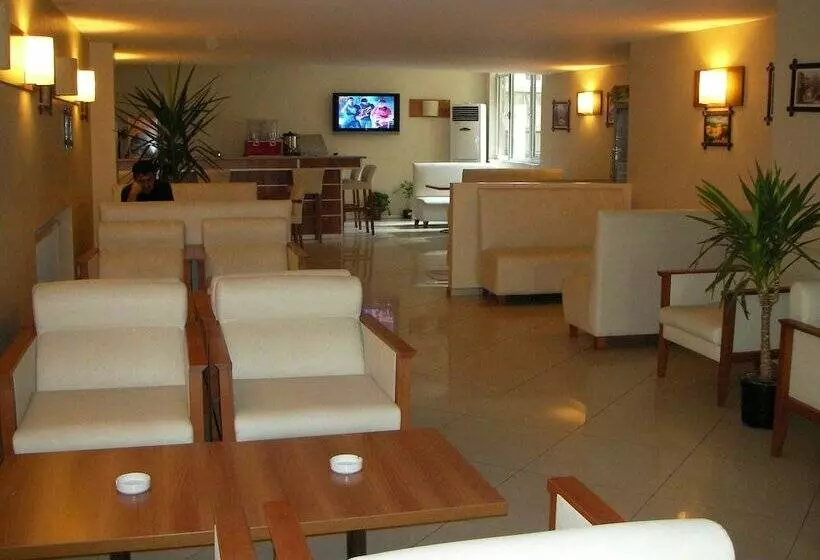 Fotos del hotel Hotel Sisli:  3