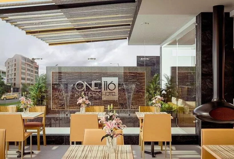 Fotos del hotel Cosmos 116:  13