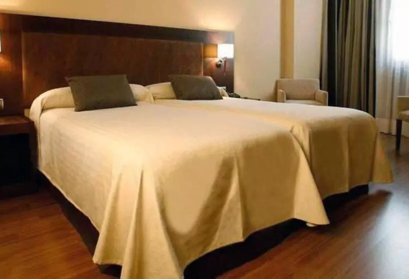 Fotos del hotel Villa De Aranda:  16