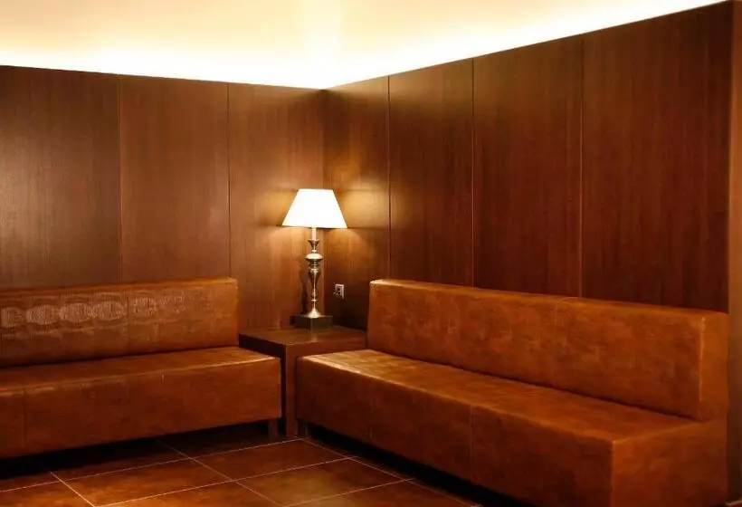 Fotos del hotel Villa De Aranda:  2