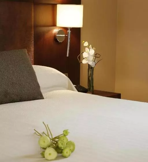 Fotos del hotel Villa De Aranda:  14