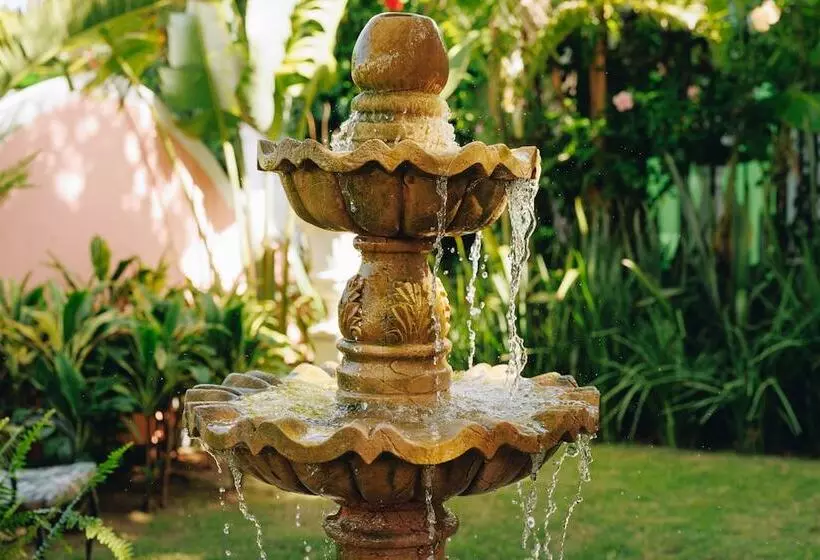 Fotos del hotel Boutique Quinta Das Videiras:  14