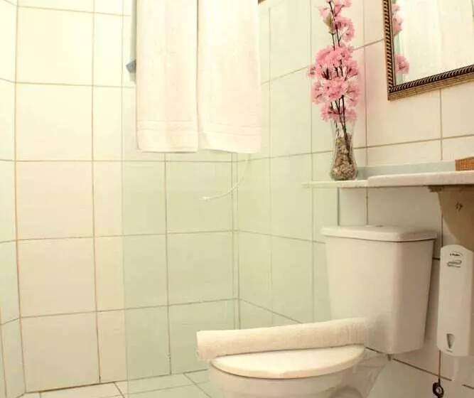 Fotos del hotel Pousada Do Tesouro:  6