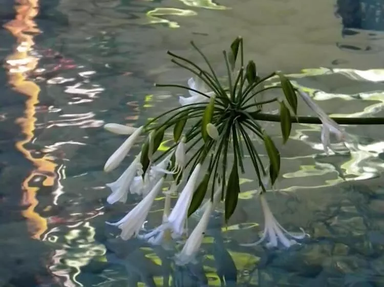 Fotos del hotel Spirit Of The Knights Boutique:  6