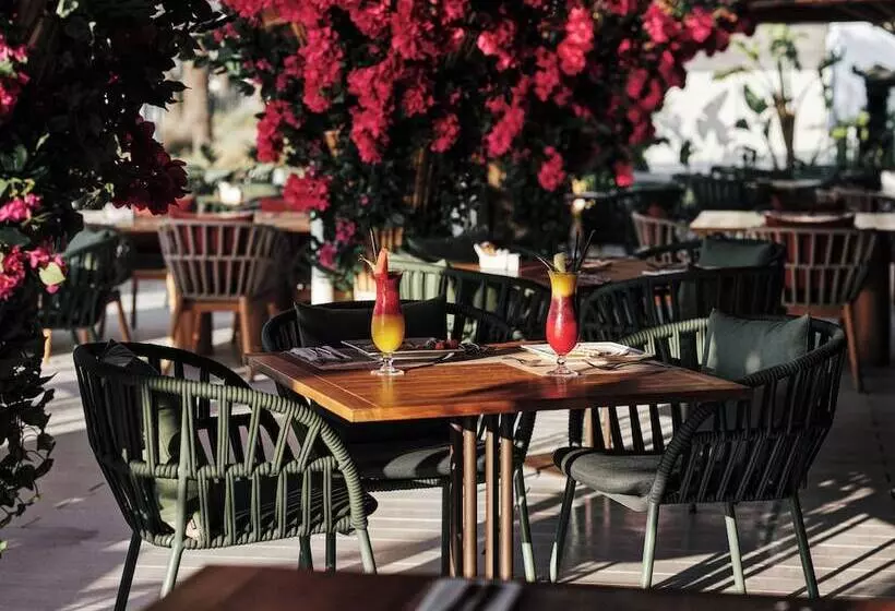 Fotos del hotel Ushuaïa Ibiza Beach Hotel:  44