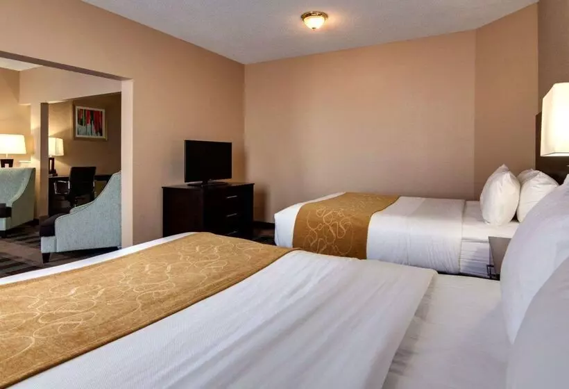 Fotos del hotel Comfort Suites Houston West At Clay Road:  13