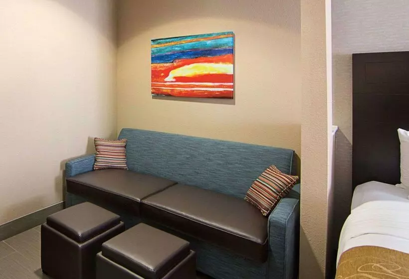 Fotos del hotel Comfort Suites Houston West At Clay Road:  3