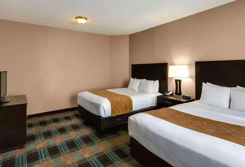Fotos del hotel Comfort Suites Houston West At Clay Road:  15
