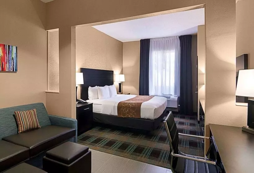 Fotos del hotel Comfort Suites Houston West At Clay Road:  14