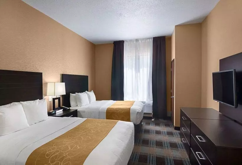Fotos del hotel Comfort Suites Houston West At Clay Road:  4
