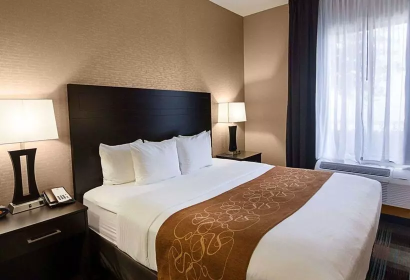 Fotos del hotel Comfort Suites Houston West At Clay Road:  22