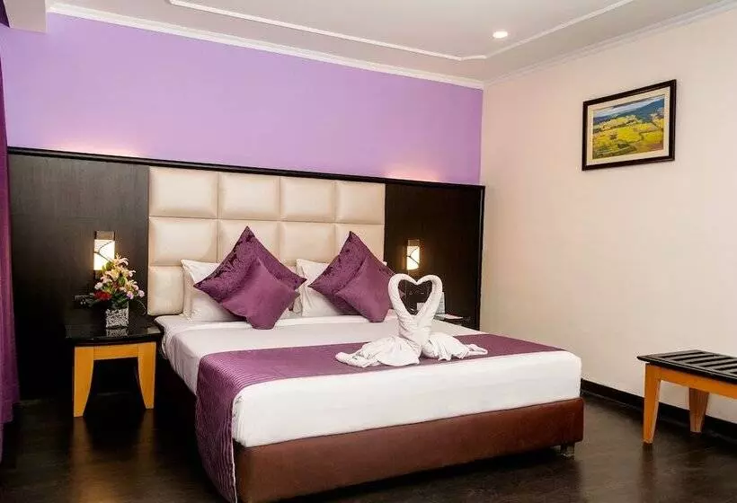 Fotos del hotel Indismart:  10