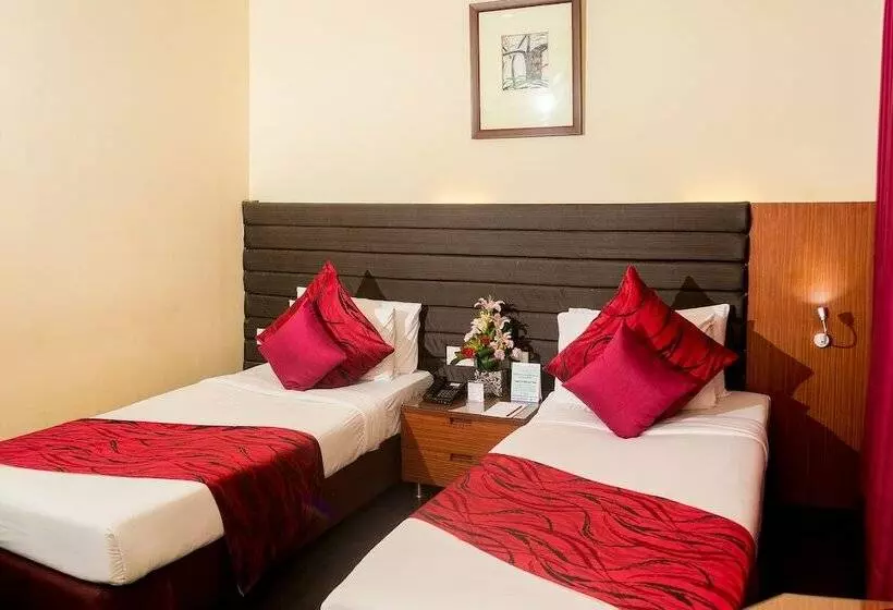 Fotos del hotel Indismart:  18