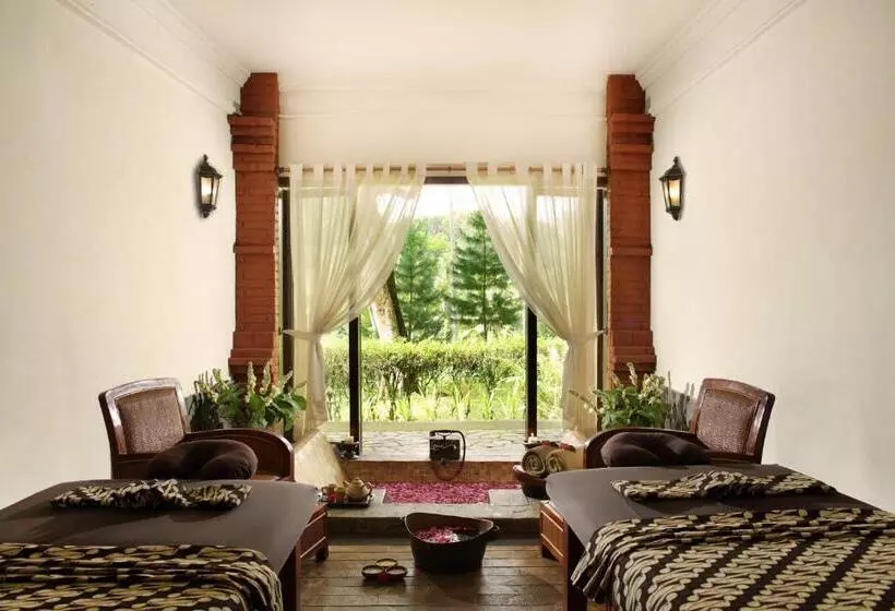 Fotos del hotel Mesastila Resort And Spa:  7