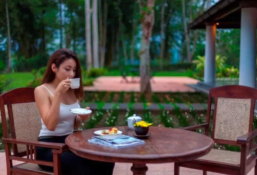 Fotos del hotel Mesastila Resort And Spa:  4