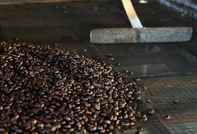 Fotos del hotel Mesastila Resort And Spa:  10