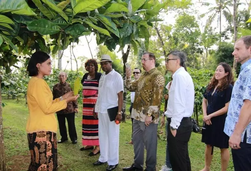 Fotos del hotel Mesastila Resort And Spa:  20