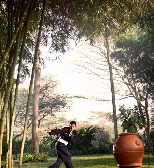 Fotos del hotel Mesastila Resort And Spa:  11