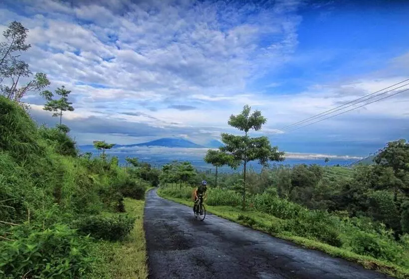 Fotos del hotel Mesastila Resort And Spa:  18