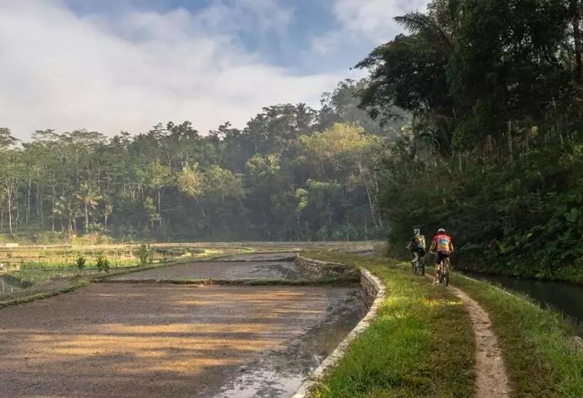 Fotos del hotel Mesastila Resort And Spa:  23