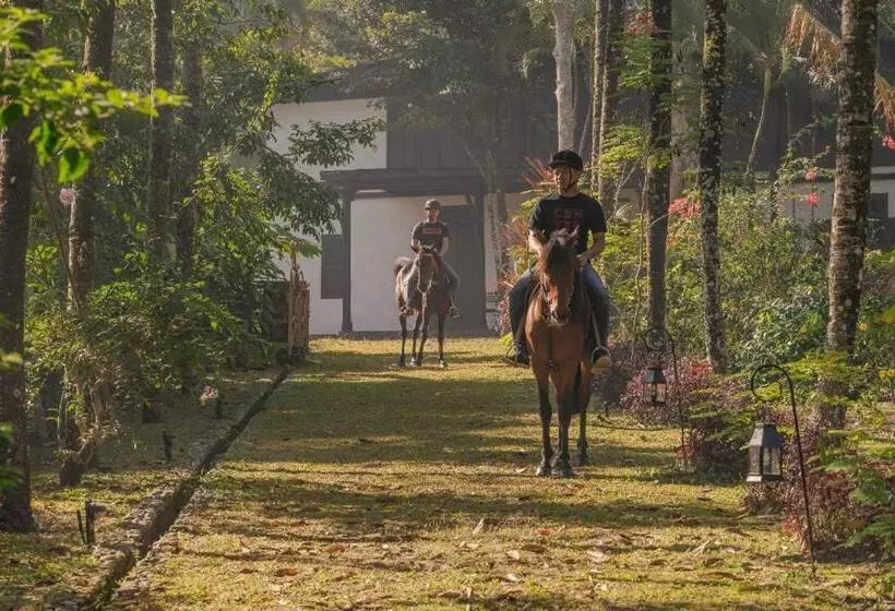 Fotos del hotel Mesastila Resort And Spa:  19