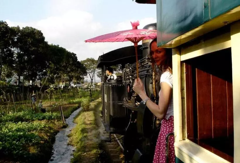 Fotos del hotel Mesastila Resort And Spa:  25