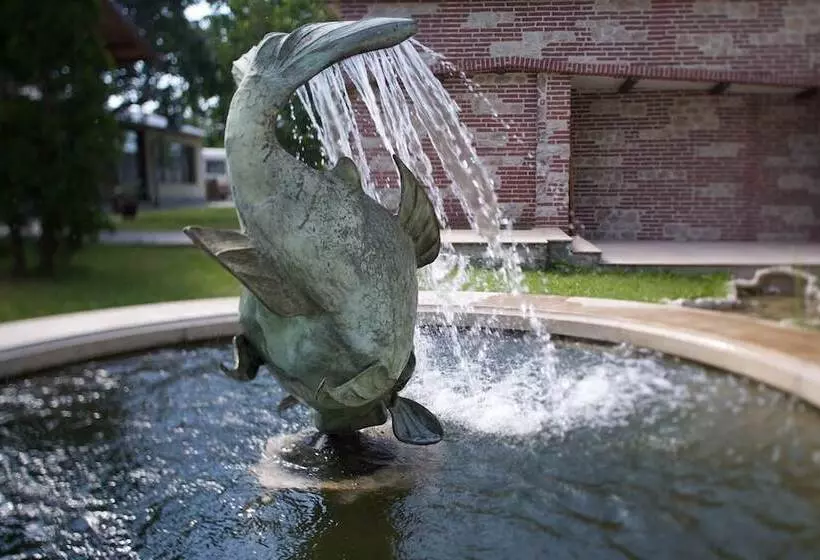 Fotos del hotel Ajax Hotel Sofia:  8