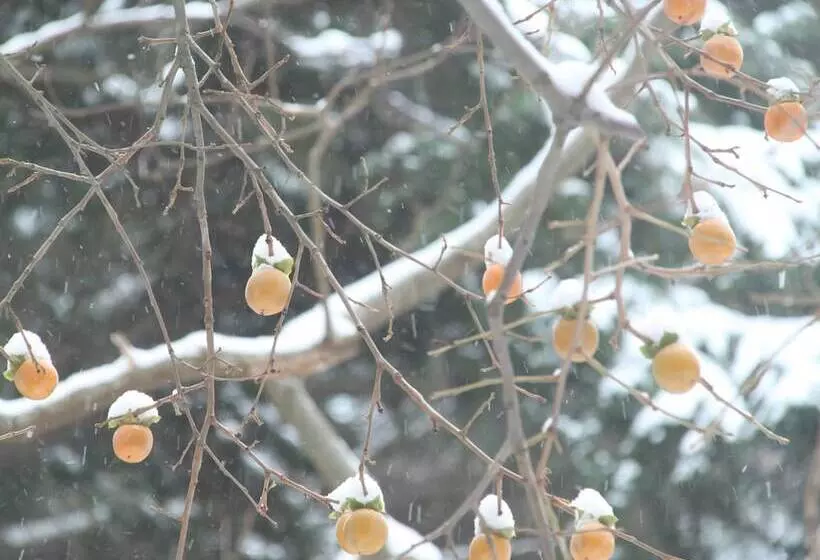 Fotos del hotel Hanabishi:  8