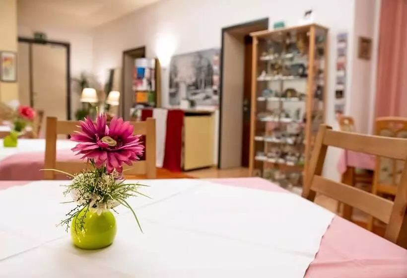 Fotos del hotel Pension Hotel Mariahilf:  18