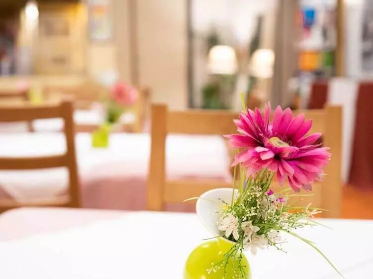 Fotos del hotel Pension Hotel Mariahilf:  15