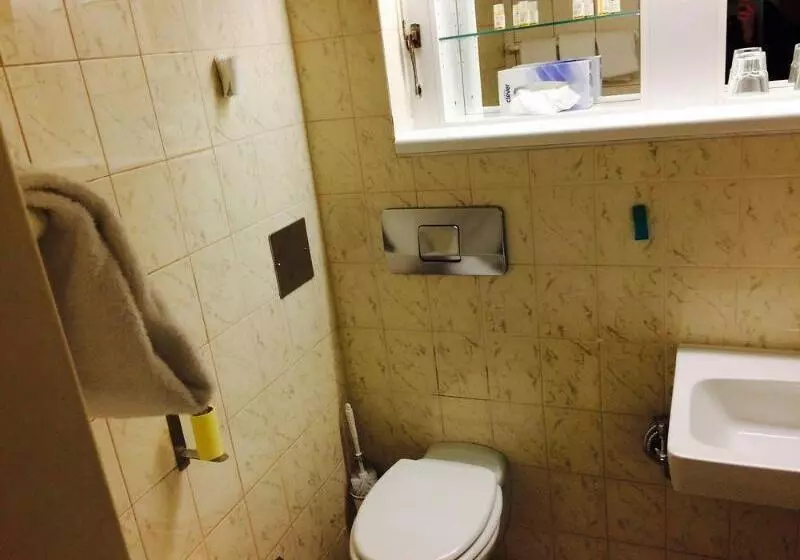 Fotos del hotel Pension Hotel Mariahilf:  13