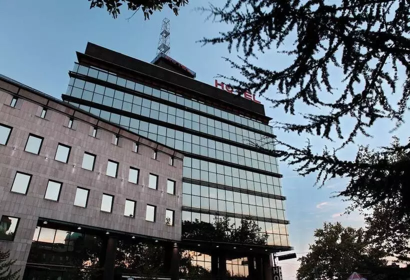 Design  Mr. President Garni