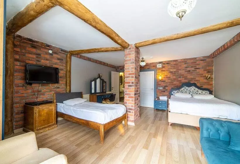 Fotos del hotel Aleph:  5