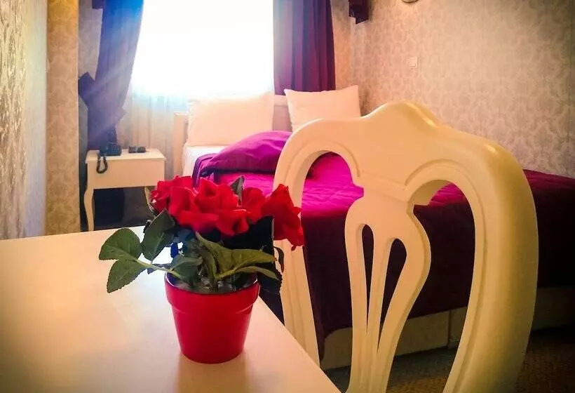 Fotos del hotel Aleph:  17