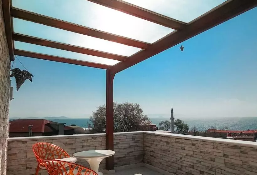 Fotos del hotel Aleph:  9