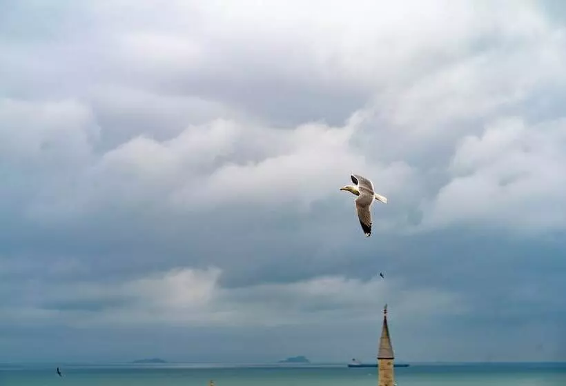 Fotos del hotel Aleph:  25