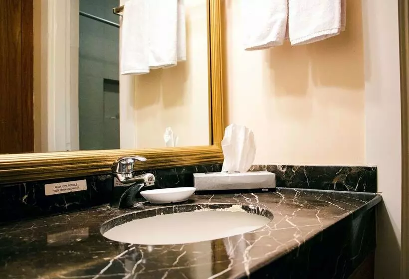 Fotos del hotel Best Western Cumbres Aeropuerto:  9