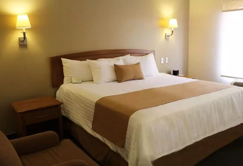 Fotos del hotel Best Western Cumbres Aeropuerto:  18