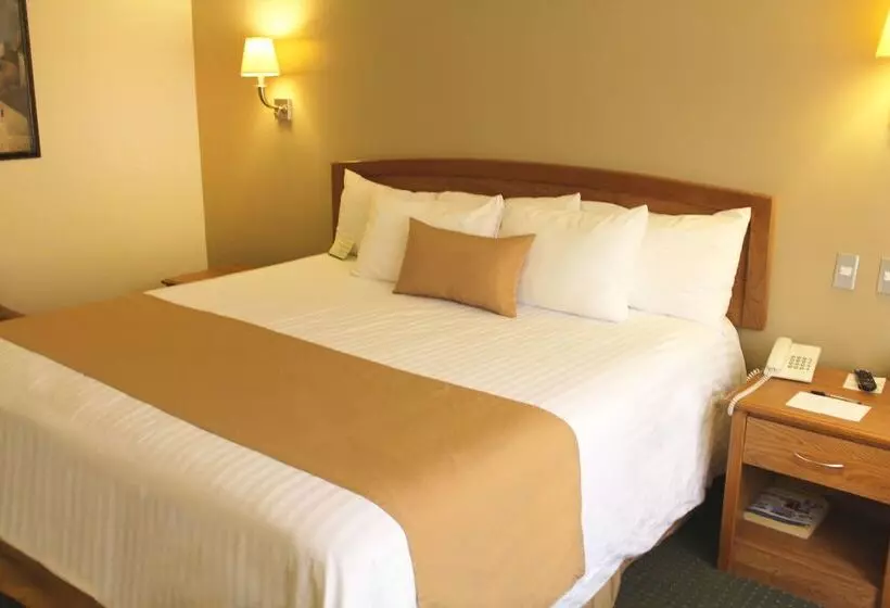 Fotos del hotel Best Western Cumbres Aeropuerto:  14