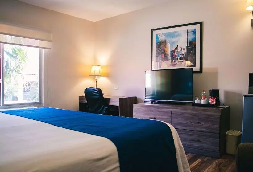 Fotos del hotel Best Western Cumbres Aeropuerto:  21