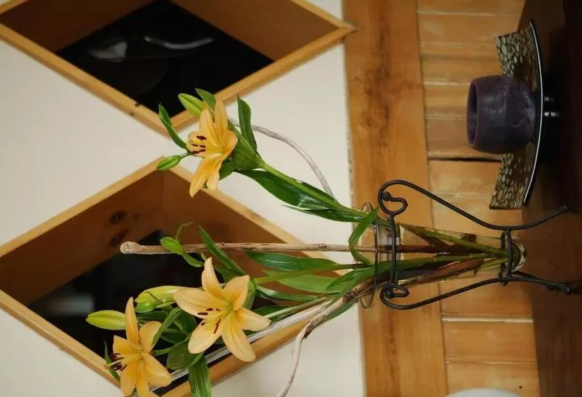 Fotos del hotel Casa Kalfu Hotel Boutique:  13