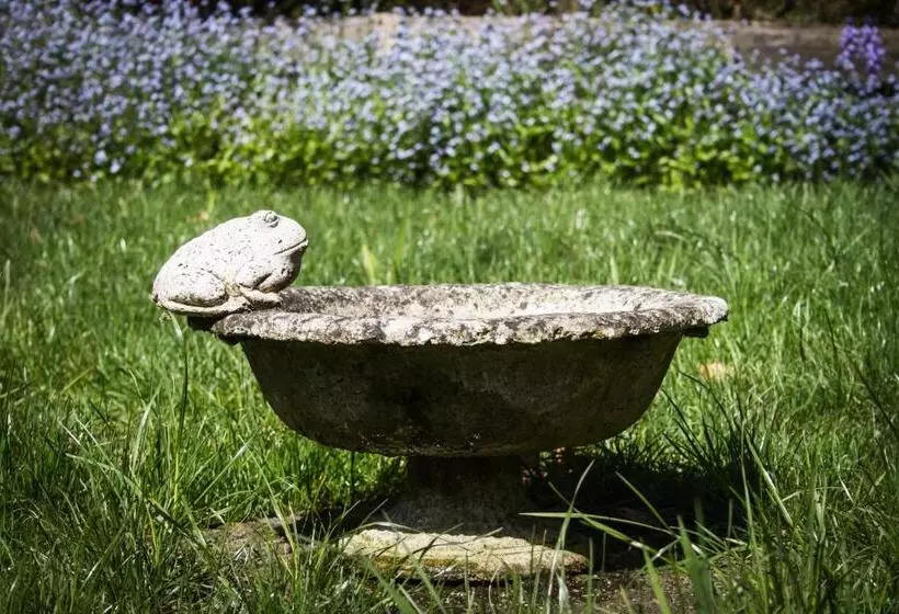 Fotos del hotel Casa Kalfu Hotel Boutique:  8